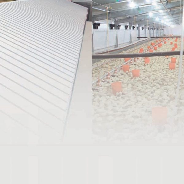 ساندویچ پانل های سقفی تکنو پانل